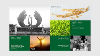 振翅高飛，共繪藍圖——百利金企業形象策劃與設計方案演示